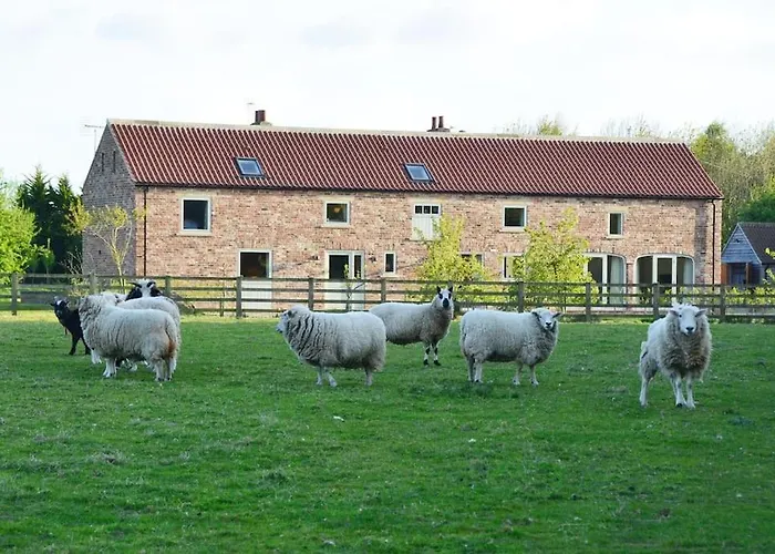 Luxury Barn With Sauna Near York Welcoming Families, Friends, Groups