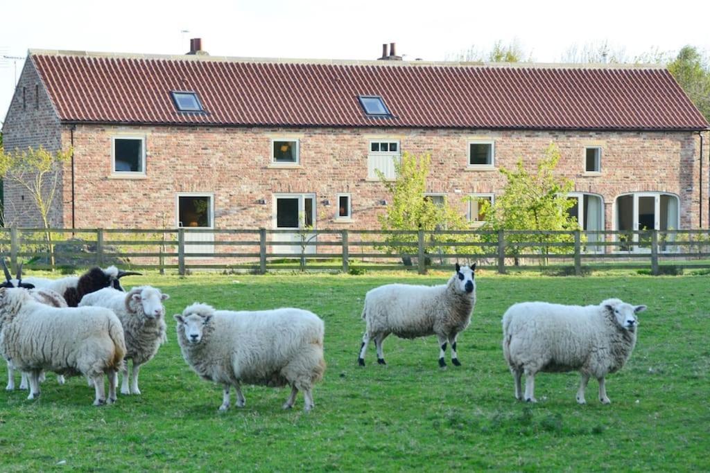 Luxury Barn With Sauna Near Welcoming Families, Friends, Groups Holiday home