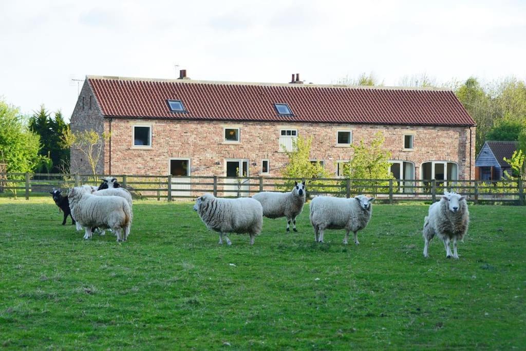 Luxury Barn With Sauna Near Welcoming Families, Friends, Groups *